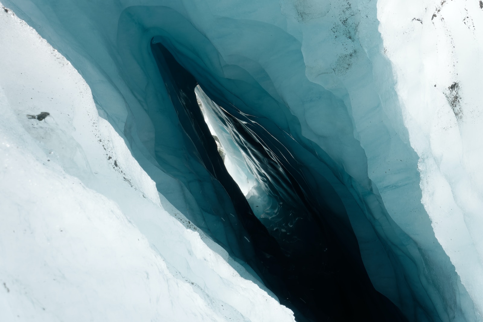 a whale is swimming in the water of a glacier