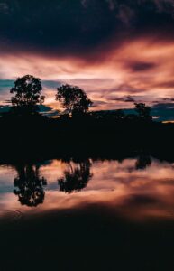 forest near body of water at sunset